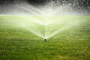 Sprinkler Turn-On Services