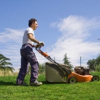Tips for Saving Time and Money on Lawn Maintenance