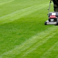 Don’t Make These 5 Common Mowing Mistakes