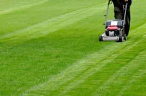 Don’t Make These 5 Common Mowing Mistakes