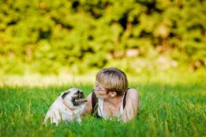 Pet-Friendly Pest Control Options