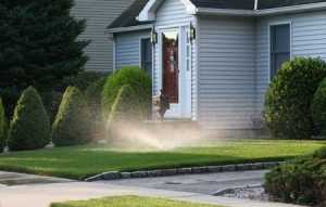Saving Water and Money With Your Irrigation System