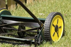 The Unique Virtues of Push Reel Mowers