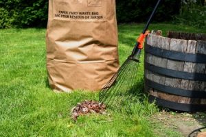 Easy Ways to Dispose of Yard Waste