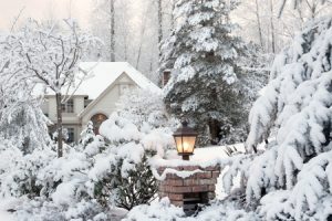 Snowy House