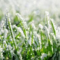 Freshening Your Lawn After the Thaw
