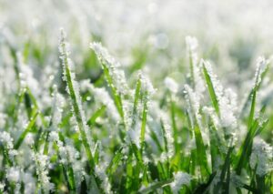 Freshening Your Lawn After the Thaw