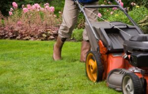 Lawn Mower Buying Guide