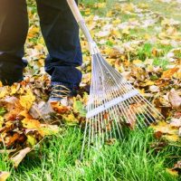 Is Your Lawn Ready for the Fall?