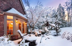 Protecting Trees and Shrubs From Winter Damage