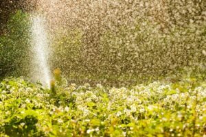 Since it was first released in 2013, The Rachio smart sprinkler controller has offered homeowners an innovative new way to make their irrigation systems as effective and efficient as possible. Last year, the company released the second generation Rachio, which featured a more robust design and an optional rain sensor which can be used to detect precipitation in the event that Wi-Fi connectivity is lost. Now, Rachio has improved its smart sprinkler controller yet again by offering compatibility with two popular home automation platforms. If you have an Android phone or Google Home device, you’re in luck. The Rachio is now fully compatible with Google Assistant. It is reportedly the first smart sprinkler to offer compatibility with Google’s home automation platform. Now, you can do things like set rain delays or change your Rachio’s watering schedule by giving simple voice commands to your Google Assistant devices. Just say something like, “OK Google, tell the Rachio to skip watering this afternoon.” Rachio is also teaming up with SmartThings to offer compatibility with their smart home platform as well. SmartThings, which is owned by Samsung, has created an open platform that acts as a “hub” for a variety of home automation devices. The Rachio is the latest in a long list of devices to be added to the SmartThings ecosystem. In addition to these two services, Rachio is also compatible with a number of other home automation platforms including Amazon Alexa, Nest, Control4 and IFTTT. If you’re interested in automating your irrigation system with a Rachio smart sprinkler controller, the experts at Suburban Lawn Sprinkler Co. can help. Give us a call today or contact us online for more information!