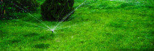 Sammer in the garden. Automatic watering watering green lawn