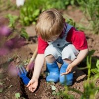Child Planting a Seed