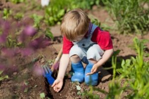 Child Planting a Seed