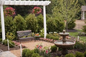 A pergola can add visual appeal to your backyard and it can also provide support for certain plants and flowers as well as add shade to your outdoor space.