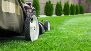 Three Common Lawn Mowing Mistakes