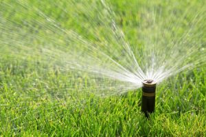 Give Your Sprinkler a Tune Up