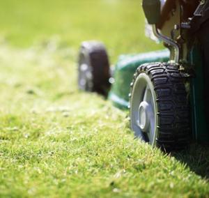 Advice for Buying a Lawn Mower