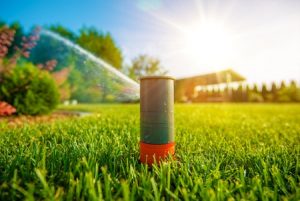 Tips for Watering Your Lawn with an Automatic Sprinkler