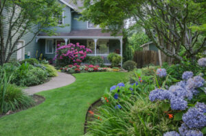 Front Yard Landscaping