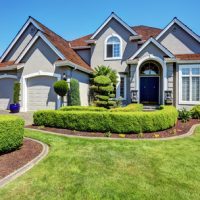 Tips to Improve Your Landscaping