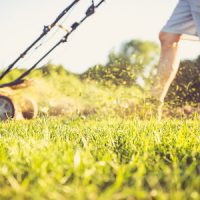 Lawn Care Mistakes to Avoid