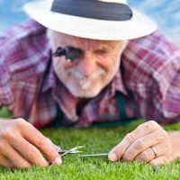 Lawn Mowing Tips for Improved Lawn Care
