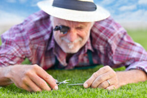 Lawn Mowing Tips for Improved Lawn Care