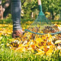 Ideas for Fall Leaves