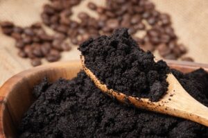 Coffee Grounds in Garden