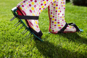 Lawn Aeration Shoes