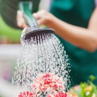Woman Watering Her Garden