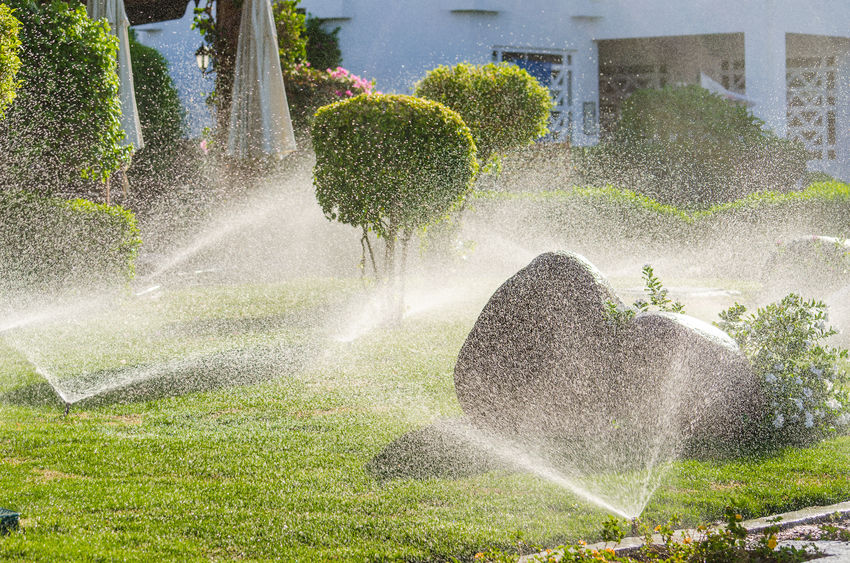 sprinkler installation