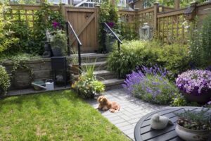 backyard garden and patio