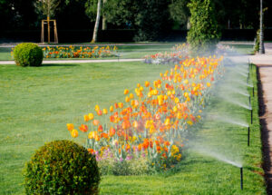 sprinkler system at business park