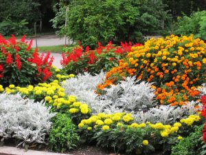 flower beds for landscaping your yard