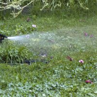 Lawn Sprinkler System from Suburban Lawn