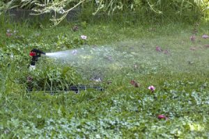 Lawn Sprinkler System from Suburban Lawn