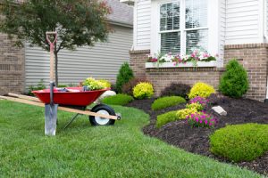 Lawn and landscape maintenance for your yard