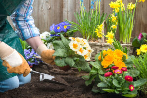 person gardening