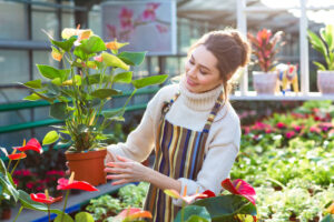 person holding flowers