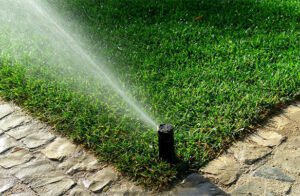 Lawn Sprinkler System