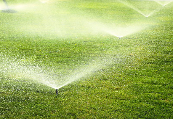 Lawn sprinkler system at business