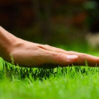 Touching the lawn with hand