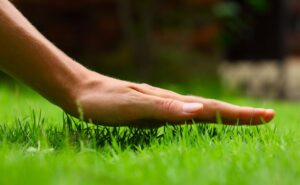 Touching the lawn with hand