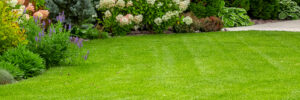 Manicured Lawn