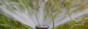 Lawn Sprinklers