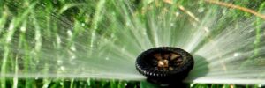 Lawn Sprinkler