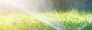 Lawn water sprinkler spraying water over lawn green fresh grass in garden or backyard on hot summer day. Automatic watering equipment, lawn maintenance, gardening and tools concept.