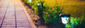 Decorative Small Solar Garden Light, Lanterns In Flower Bed In Green Foliage. Garden Design. Solar Powered Lamps In Row